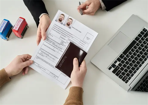 Submit visa application materials