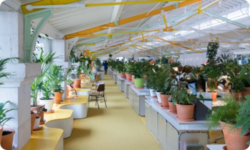 Bright modern open office space with desks, chairs and potted plants