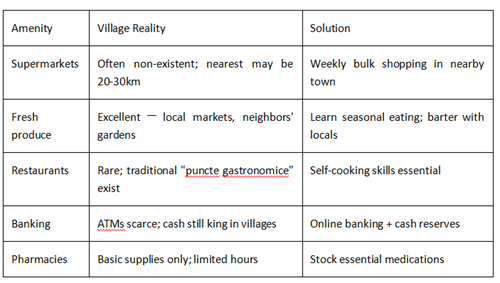 Romanian village amenities: reality and practical solutions